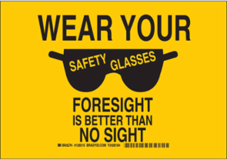 Wear Your Safety Glasses Foresight Is Better Than No Sight Sign, 10" H x 14" W x 0.06" D, Polystyrene