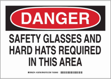 DANGER Safety Glasses And Hard Hats Required In This Area Sign, 10" H x 14" W x 0.06" D, Polystyrene