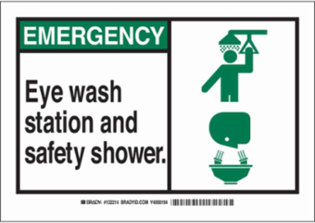 EMERGENCY Eye Wash Station And Safety Shower. Sign, 10" H x 14" W x 0.06" D, Polystyrene