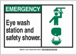 EMERGENCY Eye Wash Station And Safety Shower. Sign, 10" H x 14" W x 0.06" D, Polystyrene