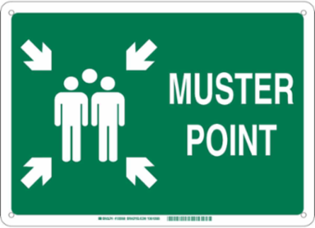 Muster Point Sign, 10" H x 14" W x 0.1" D, Green on White, Fiberglass, Pictogram w/Arrows and Text