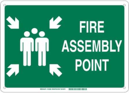 Fire Assembly Point Sign, 10" H x 14" W x 0.06" D, Green on White, Polystyrene, Pictogram w/Arrows and Text