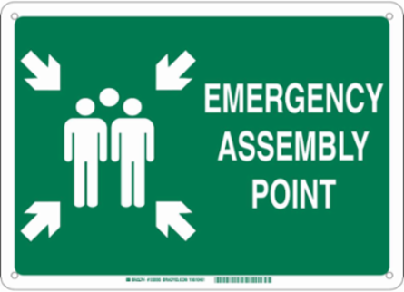 Emergency Assembly Point Sign, 18" H x 24" W x 0.1" D, Green on White, Fiberglass, Pictogram w/Arrows and Text