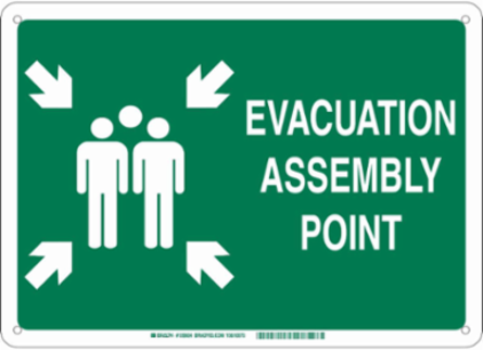 Evacuation Assembly Point Sign, 14" H x 20" W x 0.1" D, Green on White, Fiberglass, Pictogram w/Arrows and Text