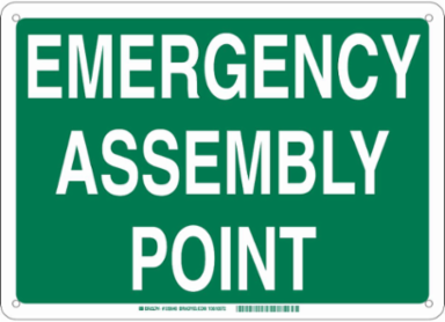 Emergency Assembly Point Sign, 10" H x 14" W x 0.1" D, Green on White, Fiberglass, Text Only