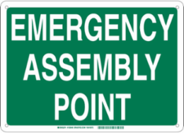 Emergency Assembly Point Sign, 18" H x 24" W x 0.1" D, Green on White, Fiberglass