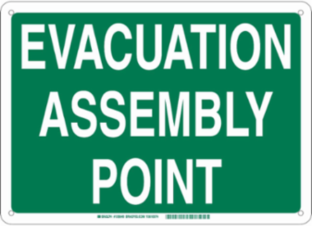 Evacuation Assembly Point Sign, 10" H x 14" W x 0.06" D, Green on White, Polystyrene