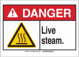 DANGER Live Steam. Sign, 7" H x 10" W x 0.06" D, Polystyrene