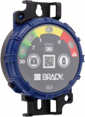 Inspection Timer with LED Lights, 3.625 Inch Height, IP65 Rated, 30 Days, Pack of 10