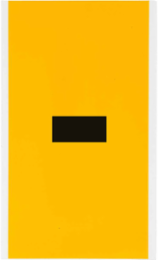 15 Series Vinyl Dash Label - 6 Inch H, Black on Yellow, Outdoor Use