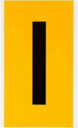 15 Series Vinyl Letter Label 6 Inch H Black on Yellow, Outdoor Durable, Permanent Adhesive