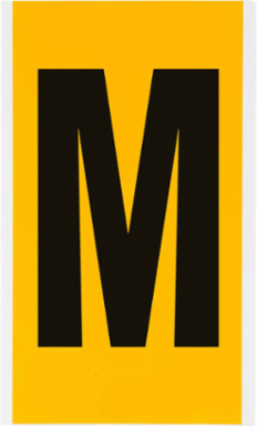 15 Series Vinyl Letter Label 6 Inch H, Black on Yellow, Outdoor Durability 8-10 Years