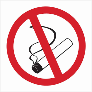 No Smoking Picto Sign, 7" H x 10" W x 0.06" D, Polystyrene