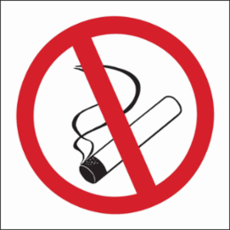 No Smoking Picto Sign, 7" H x 10" W x 0.06" D, Polystyrene