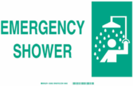 Emergency Shower Sign, 10" H x 14" W x 0.06" D, Polystyrene, Green on White