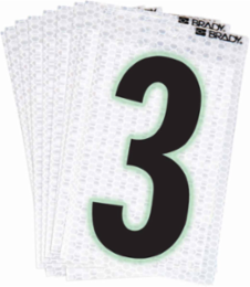 Glow in the Dark Labels, Black/Green Glow on Silver, 2.375 Inch H x 1.5 Inch W, Pack of 10