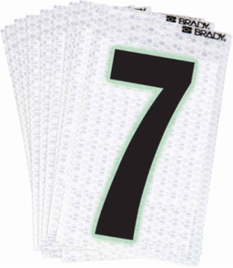 Glow in the Dark Labels, 2.375 Inch x 1.5 Inch, High-Intensity Prismatic, Pack of 10