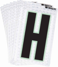 Glow in the Dark Labels, Black/Green on Silver, 2.375 Inch H x 1.5 Inch W (Pack of 10)