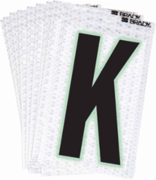 Glow in the Dark Labels, Black/Green Glow on Silver, 2.375 Inch x 1.5 Inch, Pack of 10