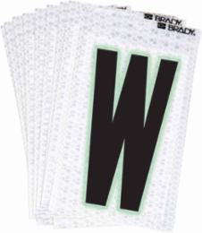 Glow in the Dark Labels, Black/Green Glow on Silver, 2.375 Inch x 1.5 Inch, Pack of 10
