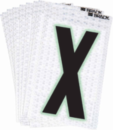 Glow in the Dark Letter & Number Labels, 2.375 in H x 1.5 in W, Pack of 10