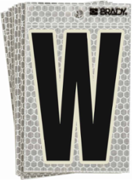 Glow in the Dark Labels, Black/Green Glow on Silver, 3.5 in H x 2.5 in W, Pack of 10