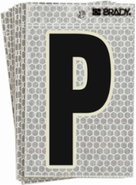 Glow in the Dark Labels, Black/Green on Silver, 6 Inch x 3 Inch, Pack of 10 Labels