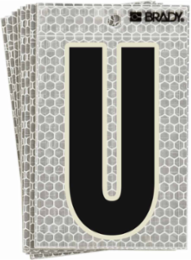6 Inch x 3 Inch Glow in the Dark Label, Black/Green Glow on Silver, Pack of 10