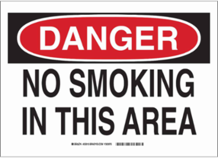 DANGER No Smoking In This Area Sign, 10" H x 14" W x 0.006" D, Polyester