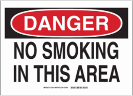 DANGER No Smoking In This Area Sign, 10" H x 14" W x 0.006" D, Polyester