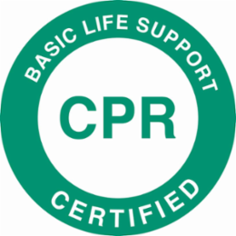 Basic Life Support CPR Hard Hat Labels, 2 Inch Dia, Vinyl, Card of 4, Green on White