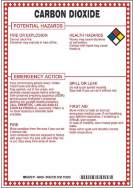 Carbon Dioxide Potential Hazards Sign, 10" H x 7" W x 0.1" D, Black/Blue/Red/Yellow on White