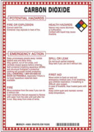 Carbon Dioxide Potential Hazards Sign, 10" H x 7" W x 0.1" D, Black/Blue/Red/Yellow on White
