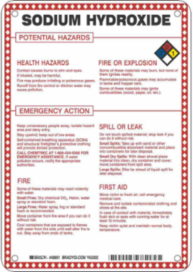 Sodium Hydroxide Potential Hazards Sign, 10" H x 7" W x 0.1" D, Black/Blue/Red/Yellow on White