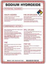 Sodium Hydroxide Potential Hazards Sign, 10" H x 7" W x 0.1" D, Black/Blue/Red/Yellow on White