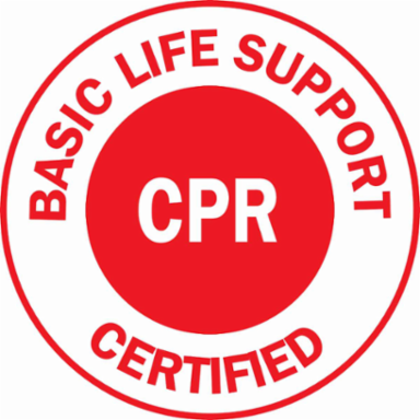 BASIC LIFE SUPPORT CERTIFIED CPR Hard Hat Labels, 2 Inch Diameter, Card of 4