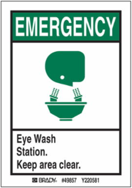 EMERGENCY Eye Wash Station. Keep Area Clear. 5/Package Sign, 0.006" D