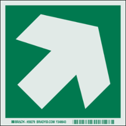 BradyGlo Photoluminescent Sign, 6 Inch x 6 Inch, Glow in the Dark
