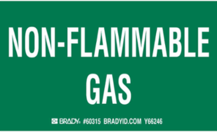 NON-FLAMMABLE GAS Labels, 3" H x 5" W x 0.0038" D, White on Green