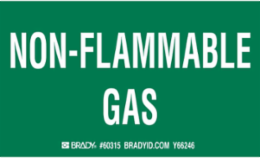NON-FLAMMABLE GAS Labels, 3" H x 5" W x 0.0038" D, White on Green