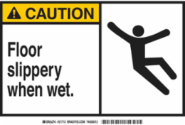 Caution Floor Slippery When Wet Sign, 10 Inch H x 14 Inch W, Fiberglass