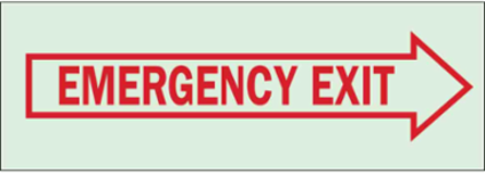 BradyGlo Emergency Exit Sign 5 Inch H x 14 Inch W Glow in the Dark, Arrow Right