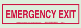 BradyGlo Emergency Exit Sign, 3.5 Inch H x 10 Inch W x 0.063 Inch D, Glow in the Dark