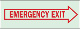 BradyGlo Emergency Exit Sign, 5 Inch H x 14 Inch W, Glow in the Dark, Right Arrow