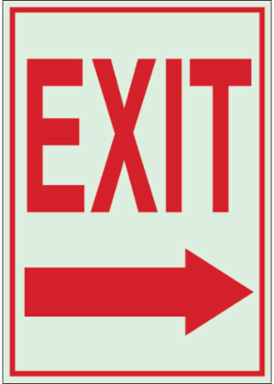 BradyGlo Glow-In-The-Dark Exit Sign, 10 Inch H x 7 Inch W, Gloss, Phosphorescent Polyester
