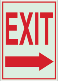 BradyGlo Exit Sign 14 Inch H x 10 Inch W, Glow in the Dark, Photoluminescent