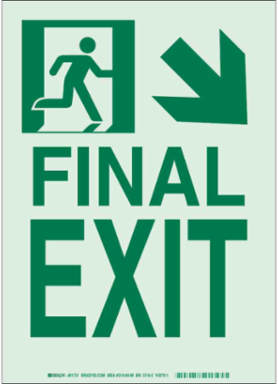BradyGlo Exit Sign, 14 Inch H x 10 Inch W, Photoluminescent Aluminum, Glow in the Dark