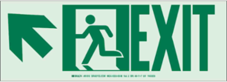 BradyGlo EXIT Sign, 5 Inch H x 14 Inch W, Glow in the Dark, Aluminum