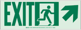 Exit Sign, 5" H x 14" W x 0.0096" D, Arrow Direction: Diagonal Up/Right