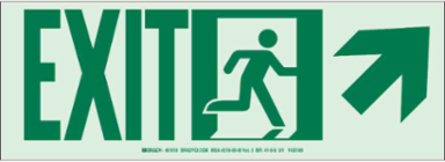 BradyGlo Exit Sign, 5 Inch H x 14 Inch W, Glow in the Dark, Aluminum